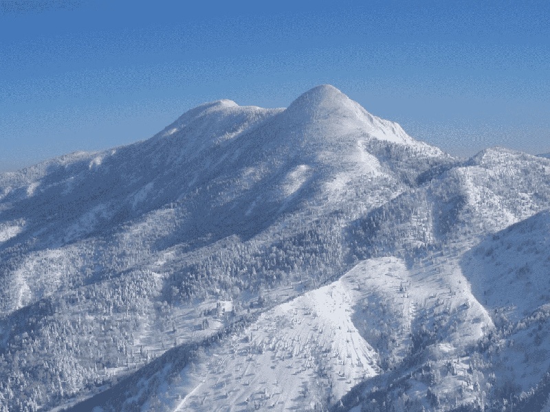 成都三代供卵例子,山东临沂做试管婴儿成功率最高的医院是哪里？如何选-成都